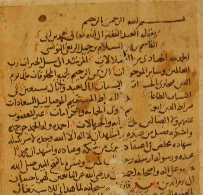 volver al futuro shoes