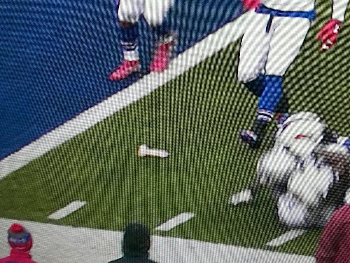 BleacherReport's tweet photo. Yes, that is what you think it is on the Bills field... https://t.co/IIGP3o6pPt https://t.co/RUR9JiHo3C