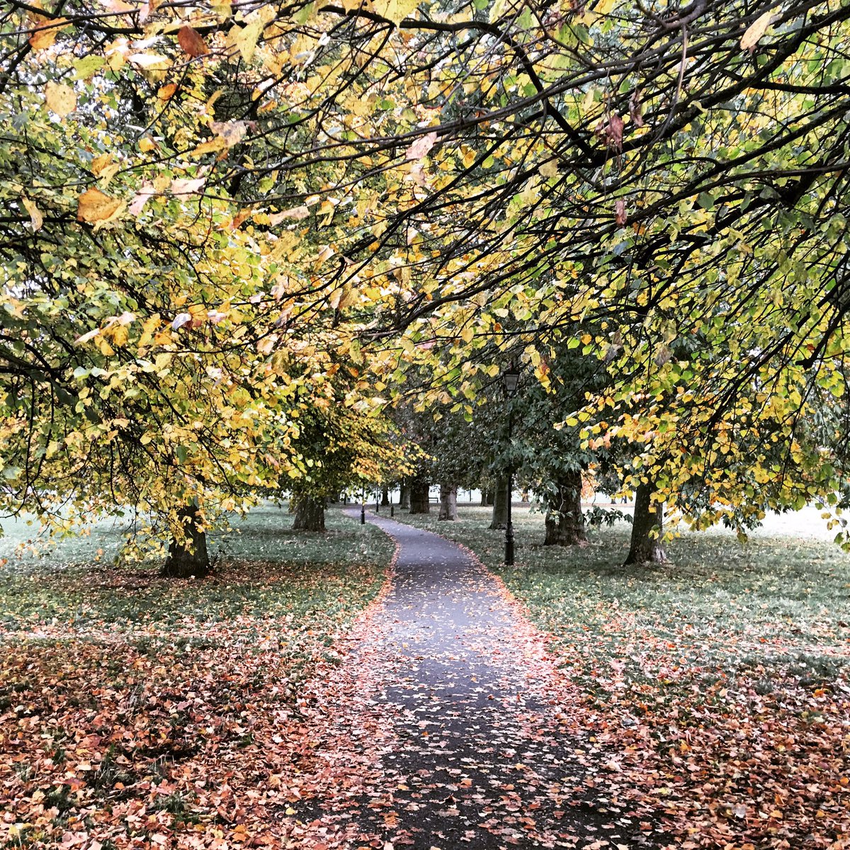 Lara_CMHarris's tweet photo. When you just keep walking... #ClaphamCommon https://t.co/AjXVDcKw17