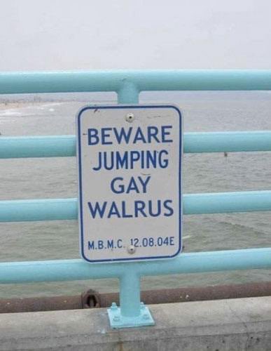 YouHadOneJ0B's tweet photo. Not a sign you see every day. https://t.co/gQpOQVkFaf