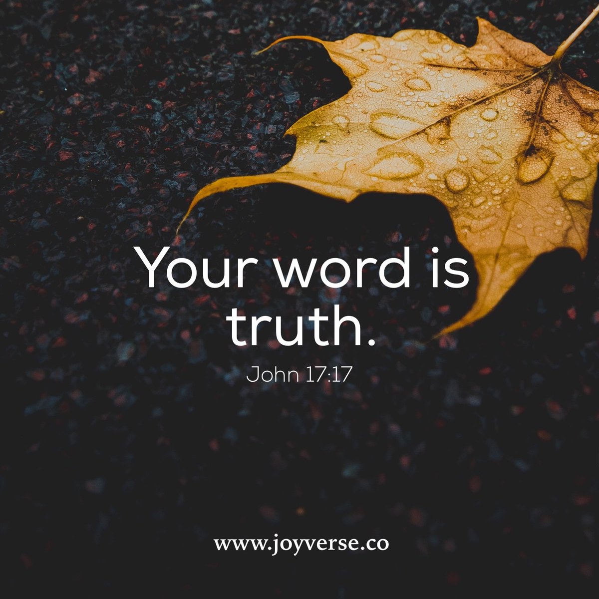 repost from <a href="/joyverseapps/">Joyverse</a> - so beautiful! #amen