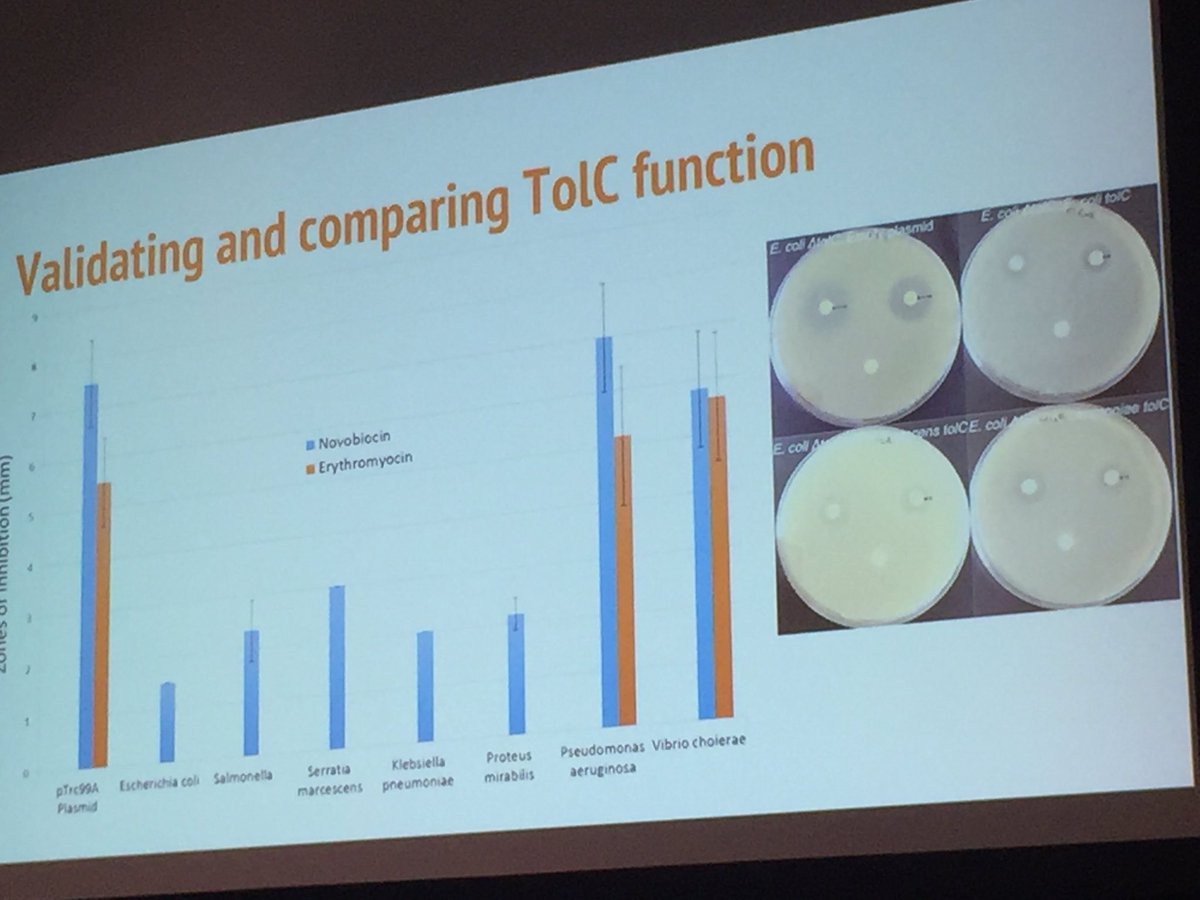 We certainly need to collaborate with the WLC-Milwaukee <a href="/iGEM/">iGEM Headquarters</a> team. They're working with Tol-C and Kirby-Bauer &amp; plan to continue...