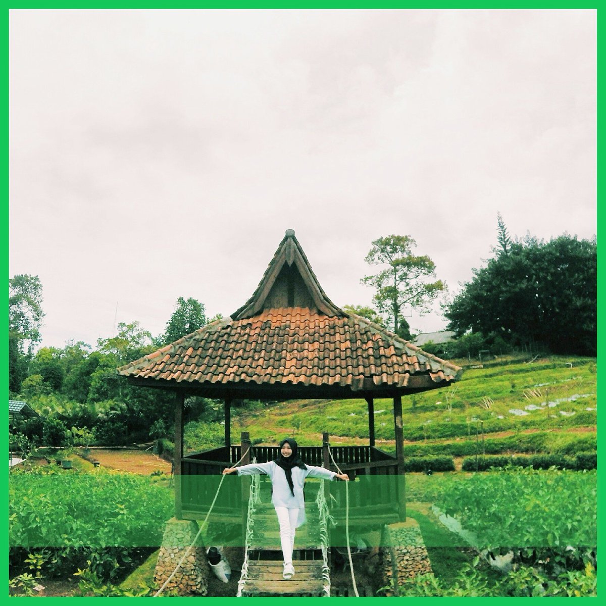 Windy Chindyana tweet media