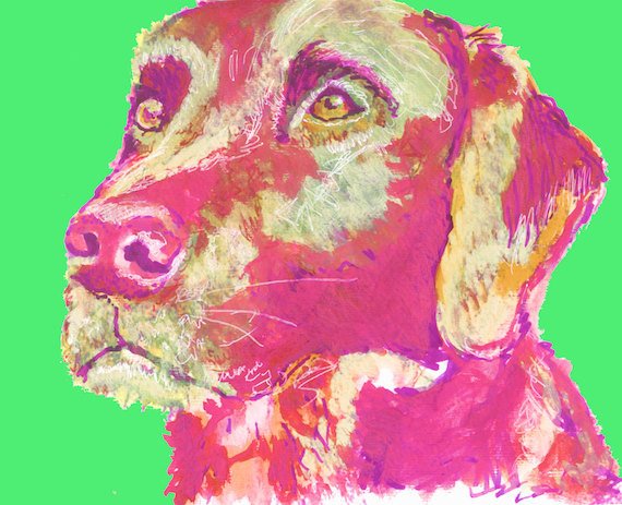 OscarJetson's tweet photo. Labrador painting print Vivid Pink and bright Green lab dog gift labr… https://t.co/9OJh3pUJP2 #art #LabradorArtwork https://t.co/mjjqZ2dhLj