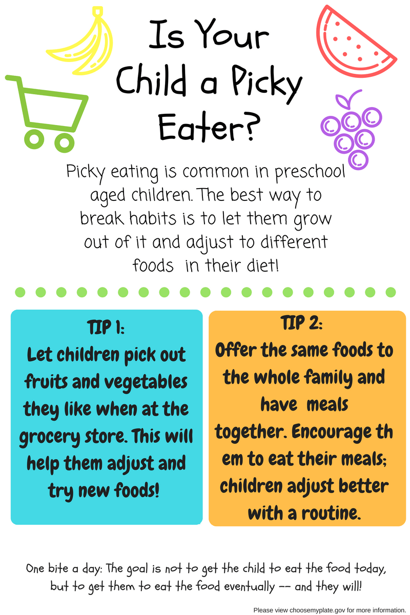 fsu_NUTR's tweet photo. Is Your Child a Picky Eater? https://t.co/kVIEnQ5XgD https://t.co/UGRGJMI572