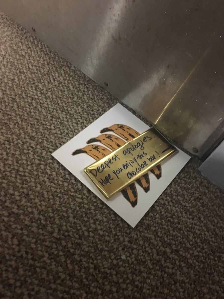 pigletfartface's tweet photo. college is weird https://t.co/kOAku64pC9