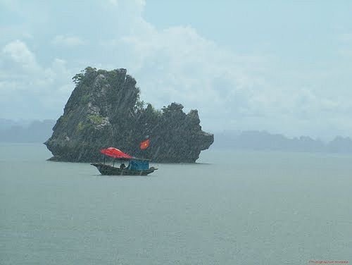 halongsapatour's tweet photo. Ha Long beautiful even in the rain <3 <3 <3
#travlehalongbay #halongbay #vietnam
https://t.co/qdHbo2UJbp https://t.co/Tln1pQJwgS