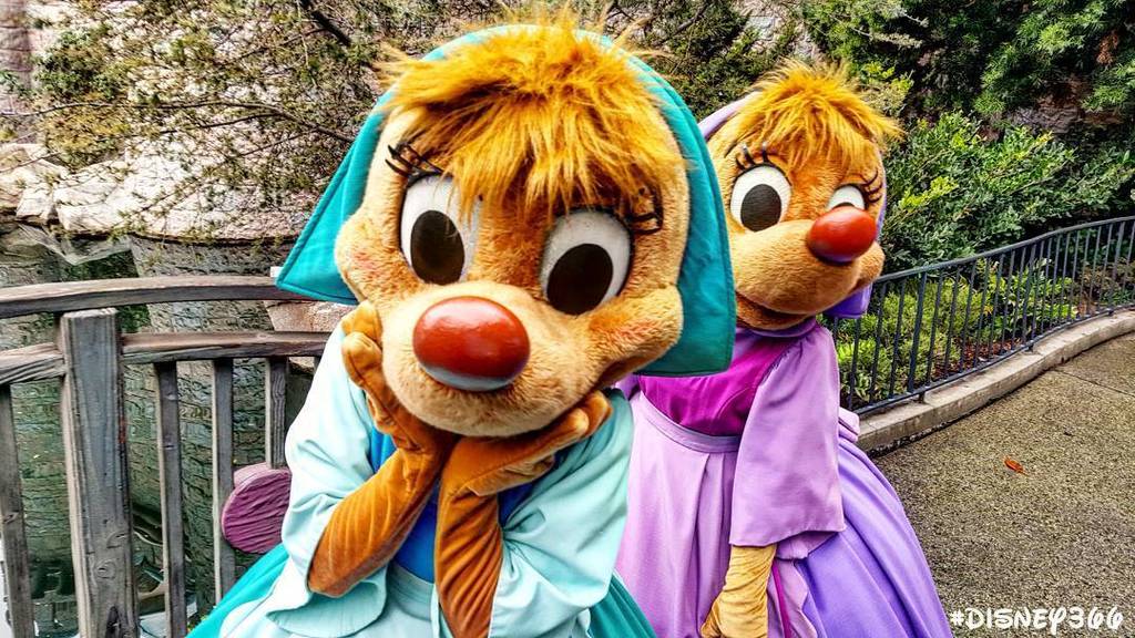 Disney366's tweet photo. Day 1765: Even the #Mice came out to play today. #Disney366 @DisneylandToday -
#SleepingB… https://t.co/0mHEBUbkjP https://t.co/7egxCdKUzf