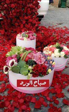 emy ❤❤❤samir (@emansam02838135) on Twitter photo 