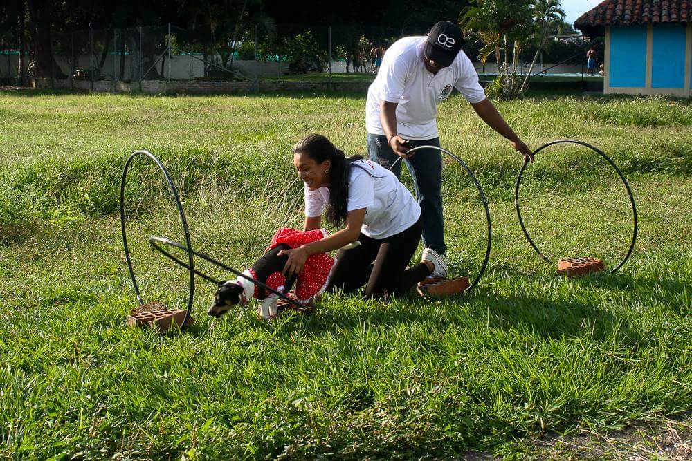 NodoGuacari's tweet photo. Asi se vivio la fiesta canina ecologica en nuestro municipio 🐶🍃 https://t.co/2GV8ToPOTB