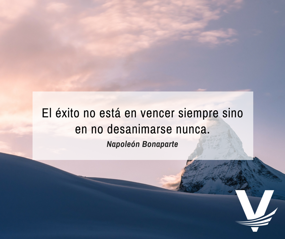 VintelMX tweet picture