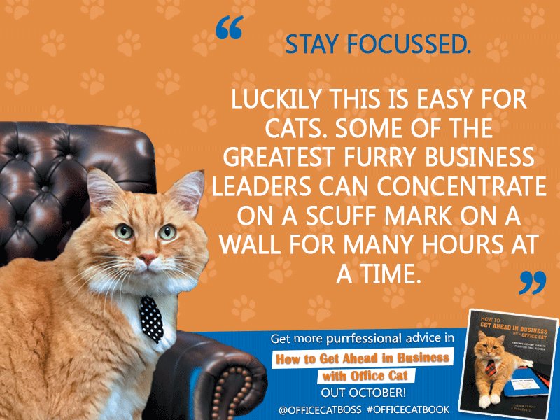 SimonSchusterAU's tweet photo. #ProTip from  @officecatboss No.3! #MondayMoti #OfficeCatBook #BusinessTips https://t.co/A3HaSywutE