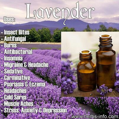 simplysuze1's tweet photo. The go to v all all #oils can't get any #simplier #lavender https://t.co/MoX1yGzgrd