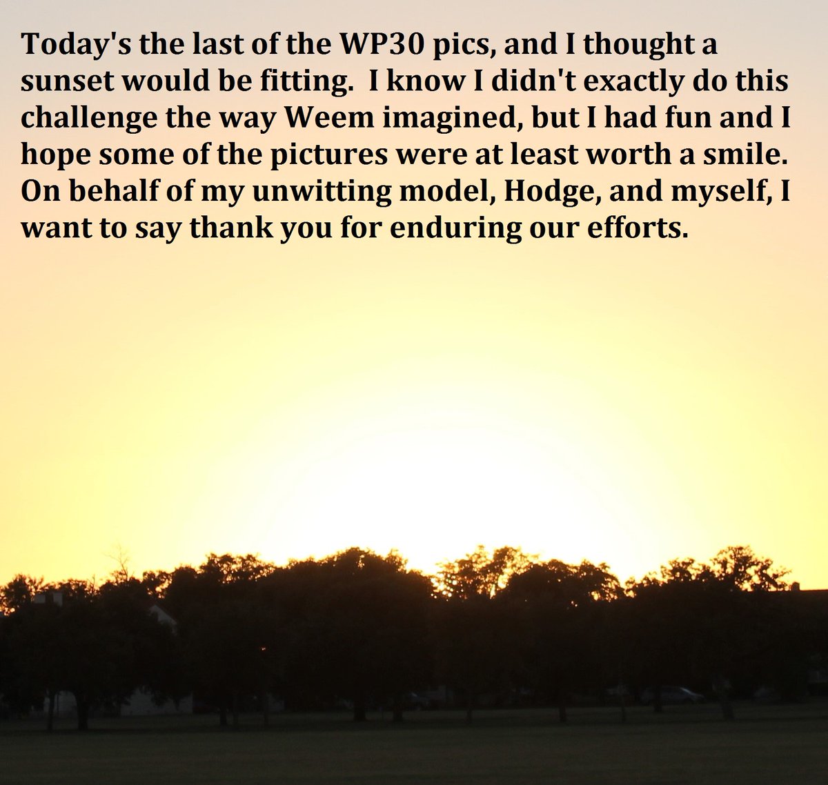 RedShoesMoment's tweet photo. #WP30 https://t.co/s82yD871UX
