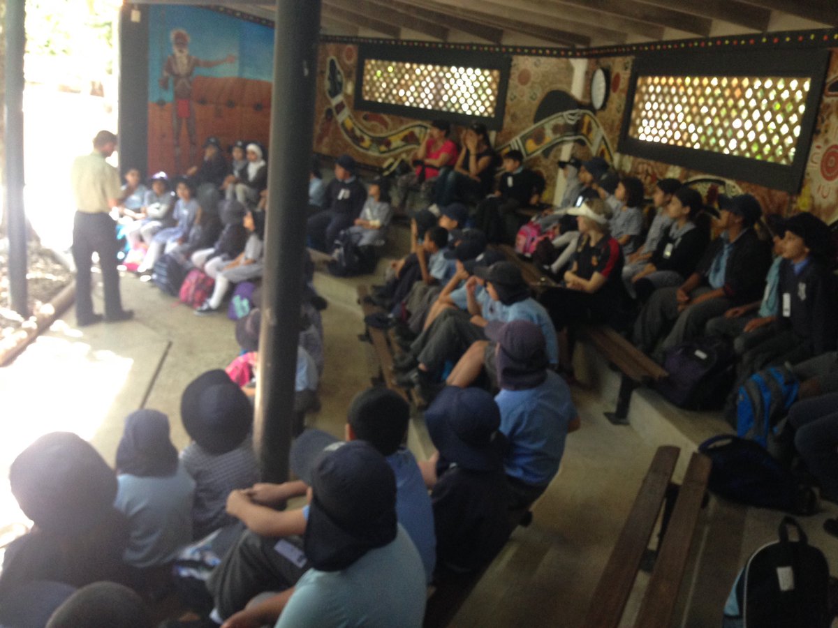 Mischelle McBriarty tweet media