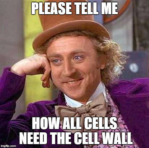 FarmerForCells's tweet photo. @CellWallforOIC3 #lmhsorganelle2016 https://t.co/0nu1hejmwt