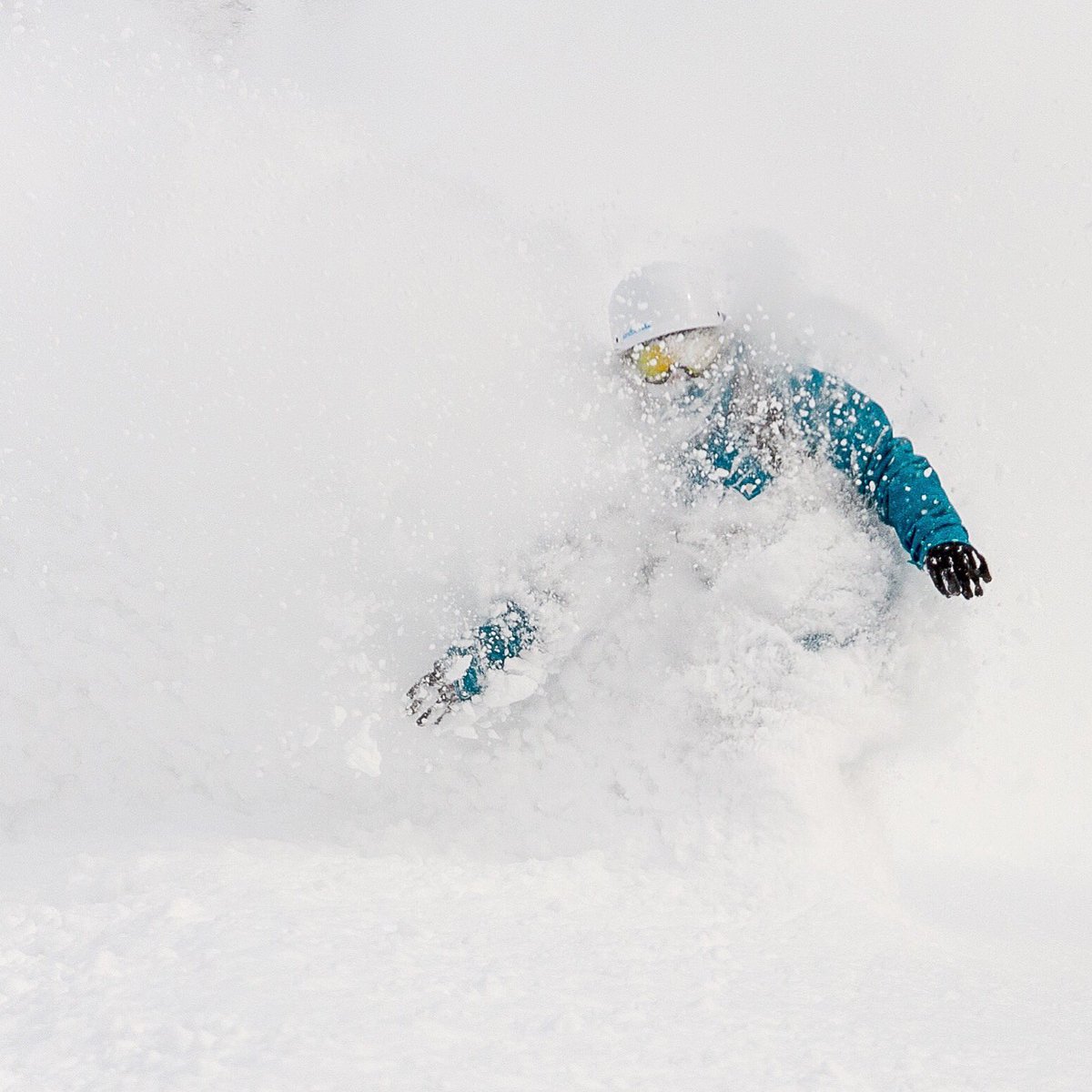 NisekoPhoto's tweet photo. Here's a little Monday morning pick up to help you start the week ❄️😀
#japow #niseko #mondays #winter #ski #snowboard #japan #nisekophoto https://t.co/wel8Jnx4Tw