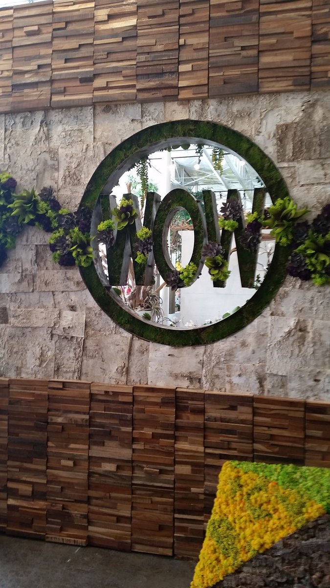 Jennifer Mueller tweet media