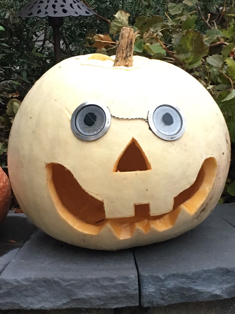 When you get bored and put low voltage lighting in your pumpkin