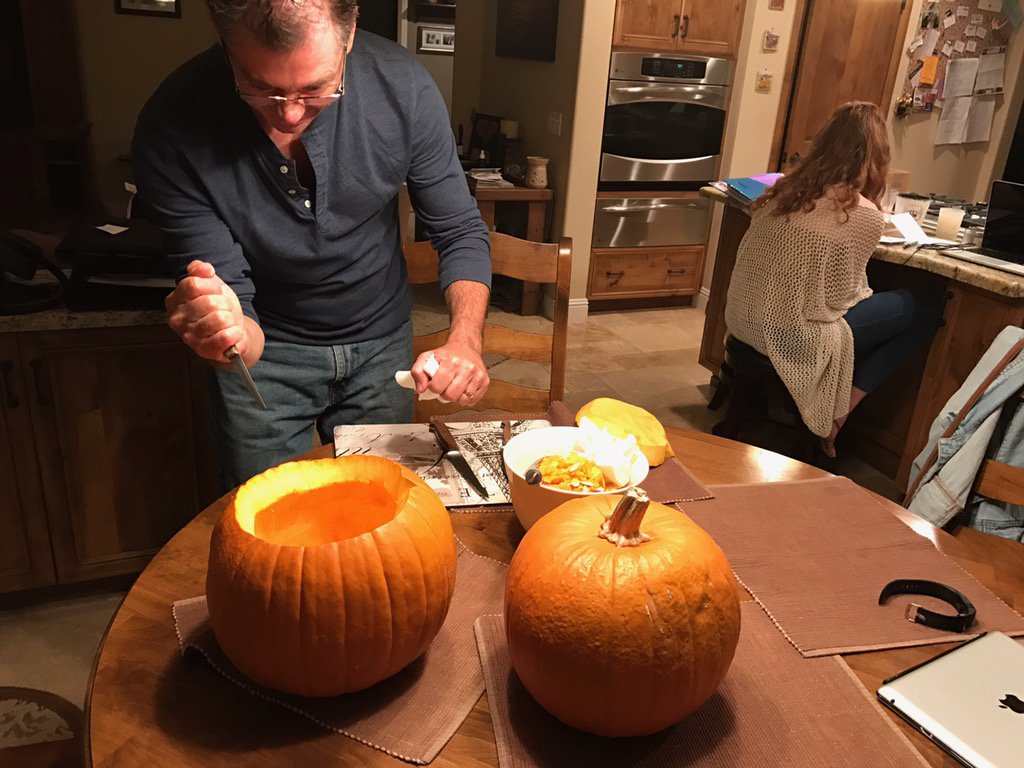 katewensleyy's tweet photo. When your dad has to keep his tradition of carving pumpkins and Ginger cat refuses to participate 🎃 #booemma https://t.co/w2iVAj5zf2