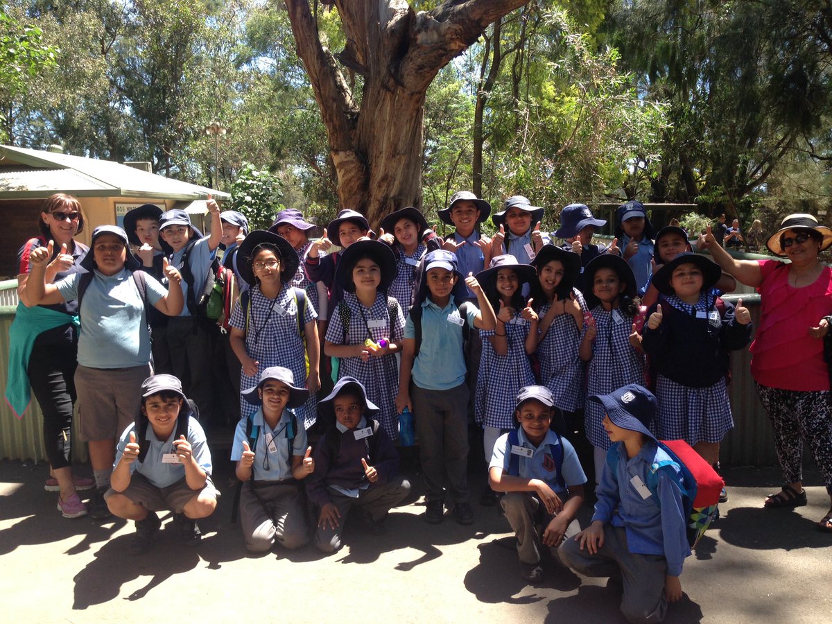 Mischelle McBriarty tweet media