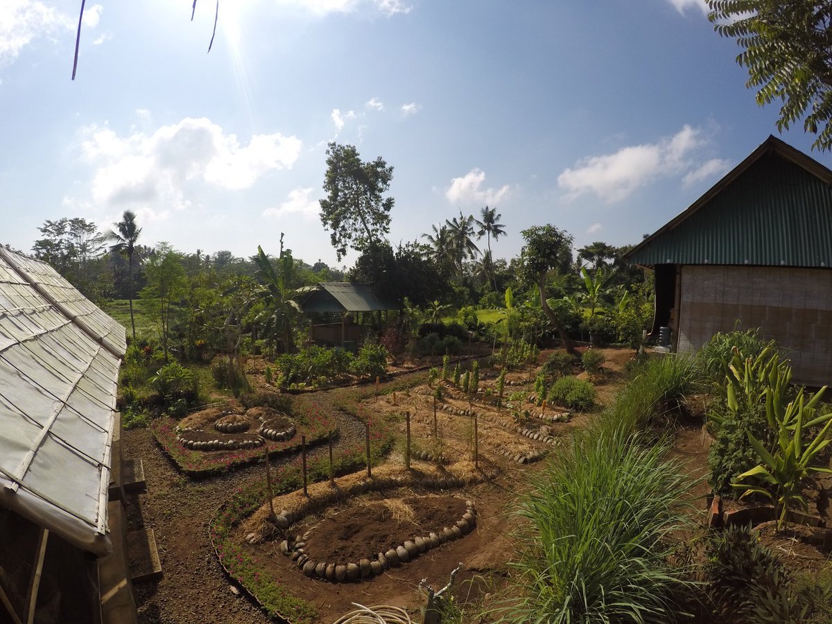 Petani_magang's tweet photo. IDEP Foundation Demosite Garden. Garden Day, every Friday Morning.
Kemenuh, Sukawati, Gianyar.
#permaculture #stopGMO #IdepFoundation #Bali https://t.co/34UGylhuE1
