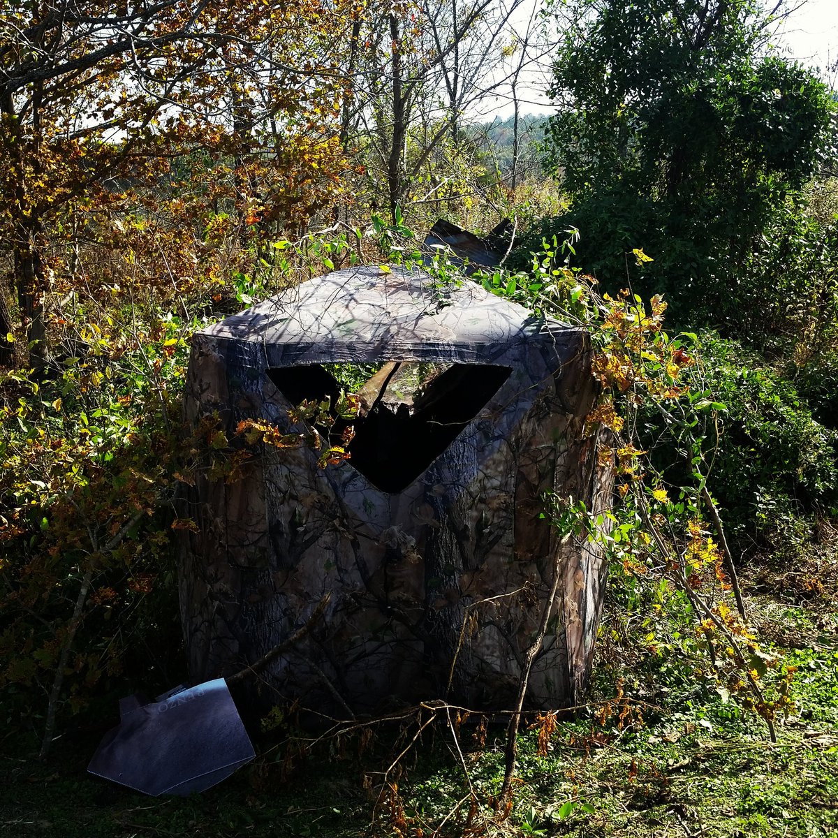 Lights Out Outdoors tweet media