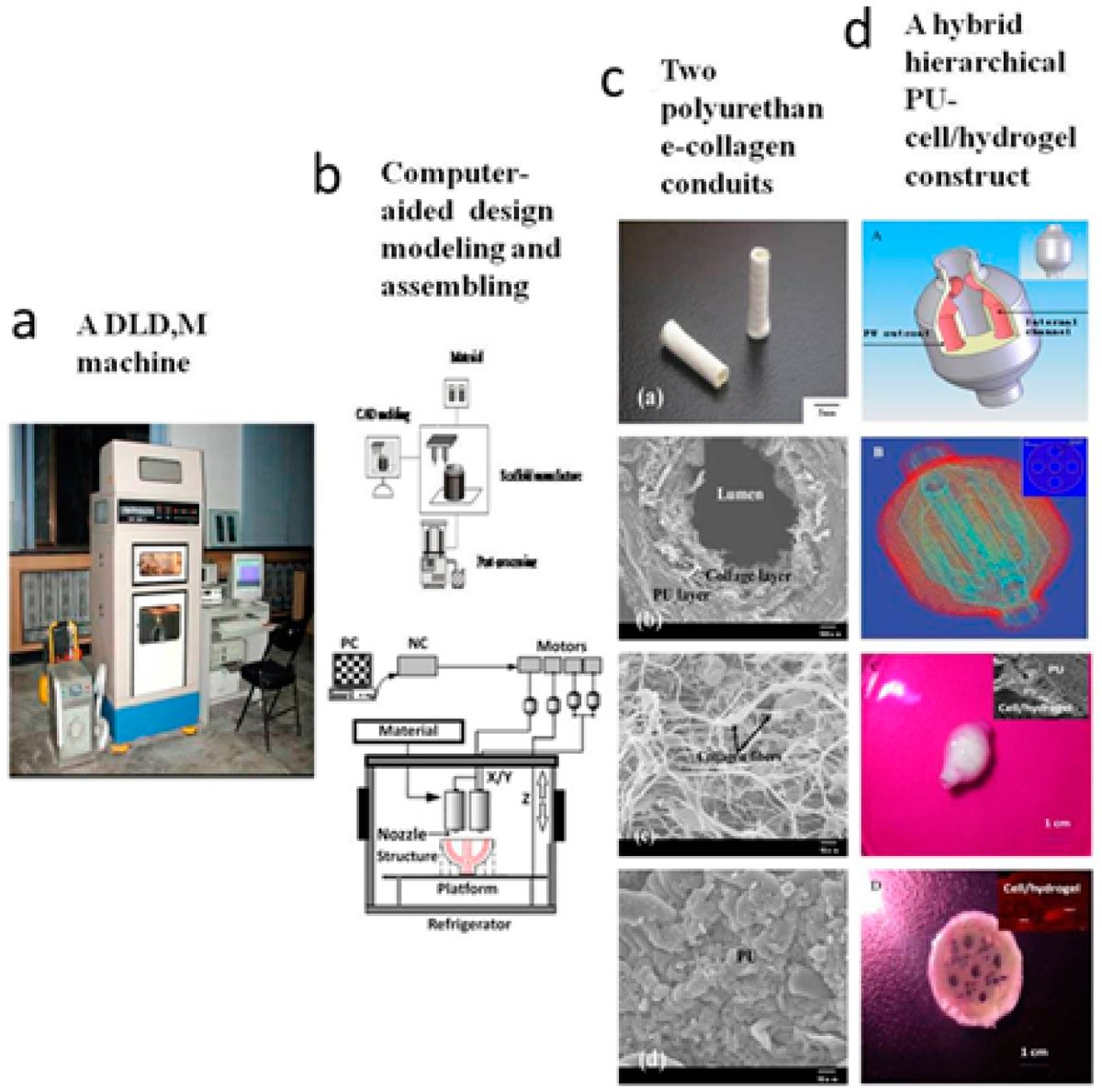 Adalidda's tweet image. #3DBioprinting Technologies for #HardTissue and #OrganEngineering adalidda.net/posts/vT25z4bh…