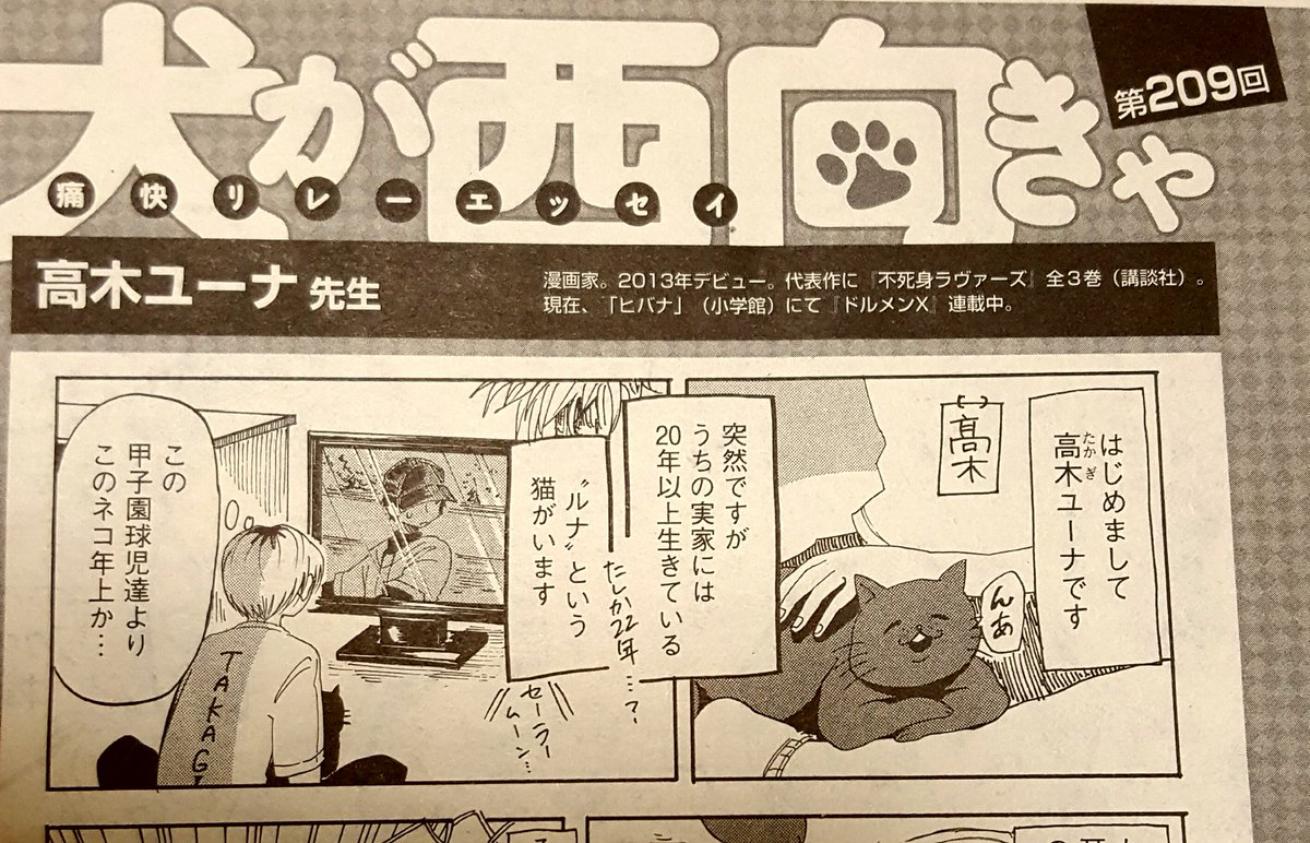 現在発売中の新書館「WINGS(ウィングス)」さんにて高木の1ページエッセイが掲載されています。初エッセイです。何とも言えない猫と共にぜひよろしくお願いいたします! 