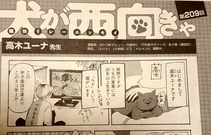 現在発売中の新書館「WINGS(ウィングス)」さんにて高木の1ページエッセイが掲載されています。初エッセイです。何とも言えない猫と共にぜひよろしくお願いいたします! 