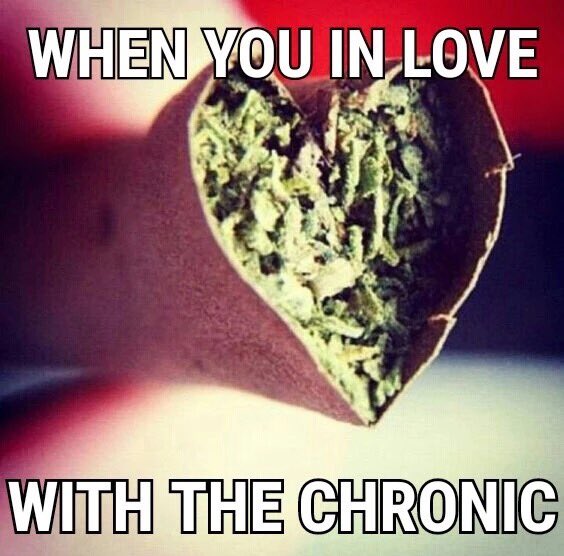 HempVibes's tweet photo. Me on Valentine's Day wth bae https://t.co/BD06kMYqBG