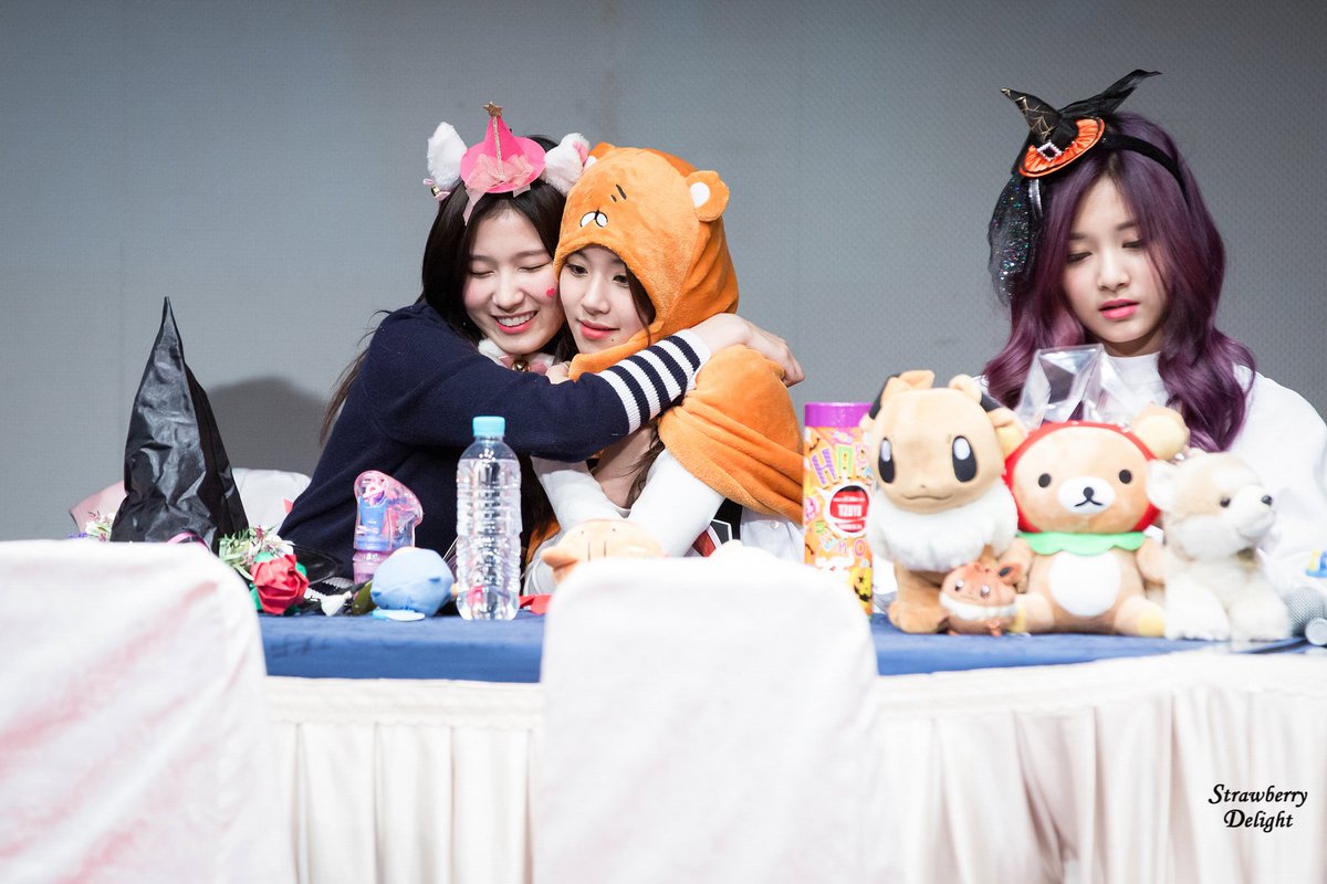 [트와이스] 아기맹수한테 끼부리는 시바견 | 인스티즈