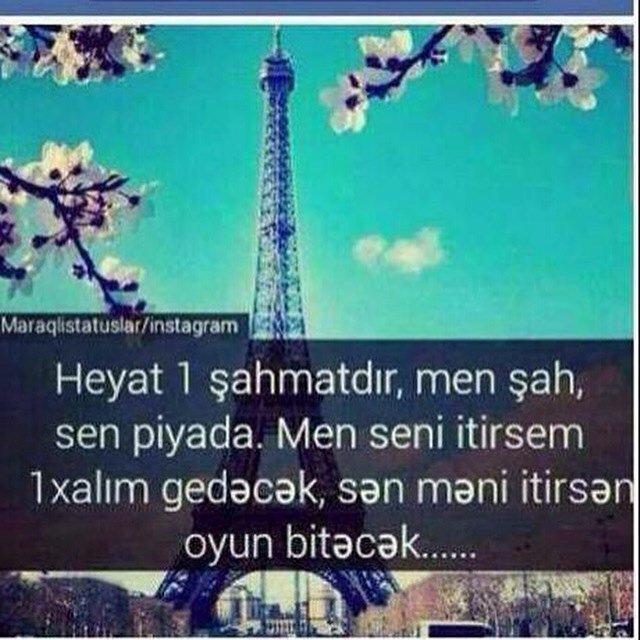 Nova Thomas (@refiqeleman) on Twitter photo 