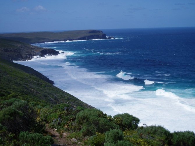 MHB & GOTC tweet media