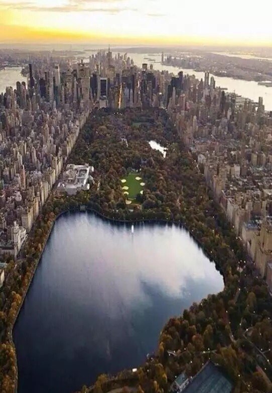 Nomadic_Youth's tweet photo. Central Park, New York City https://t.co/OZvV3BmpRp