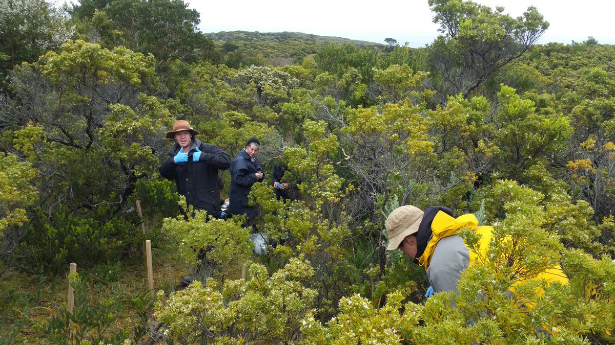 @ConservationEC field work with <a href="/victoriauninews/">Victoria University</a> summer peojects!