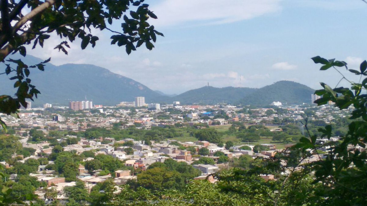 PROÁRBOL tweet media