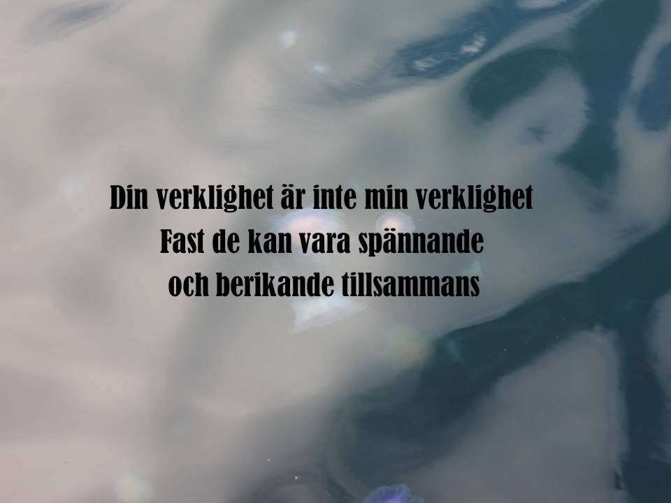 Din verklighet är inte min verklighet
Fast de kan vara spännande och berikande tillsammans