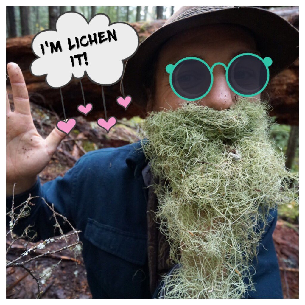 choosing to give my attention to bringing good vibes and more ❤️ into my life.  
In essence "I'm Lichen it"