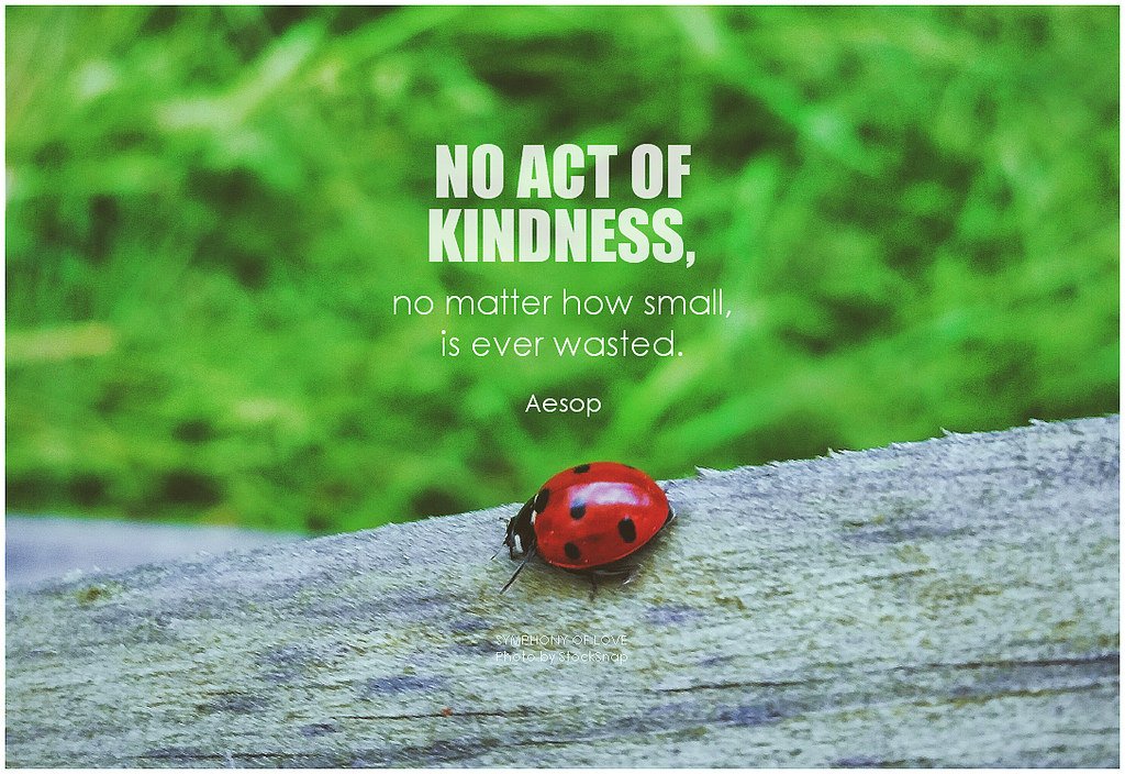 HillsideCare's tweet photo. Kindess is contagious! #kindness #compassion #caregivers #kindnessmatters #happiness #bekindtooneanother #actsofkindness https://t.co/LUJqORBoI4