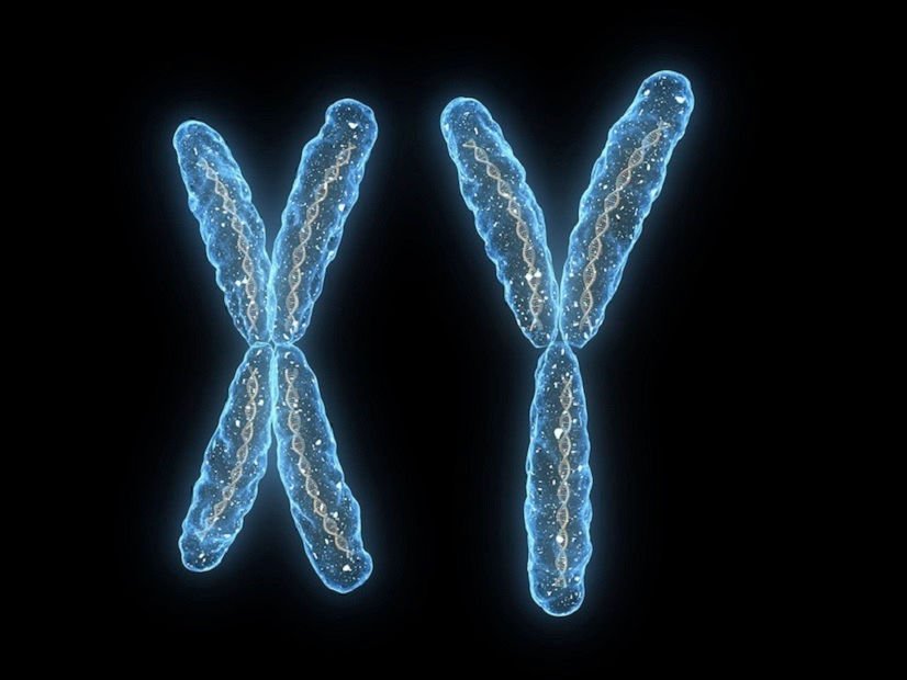 LiveScience's tweet photo. Genetic 'Adam' and 'Eve' Uncovered  https://t.co/vtaL17byGB https://t.co/dZObtdXfgu