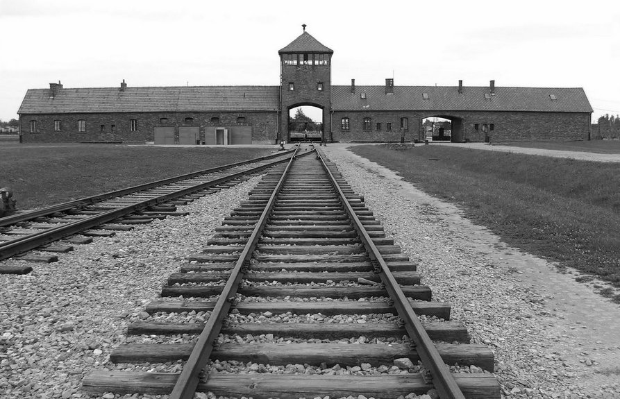 MatteoBerton01's tweet photo. @spinelli2la2016 La guerra è passata, la tregua è presente e la libertà è futura #LaTregua04 https://t.co/qCXzoDFyxp