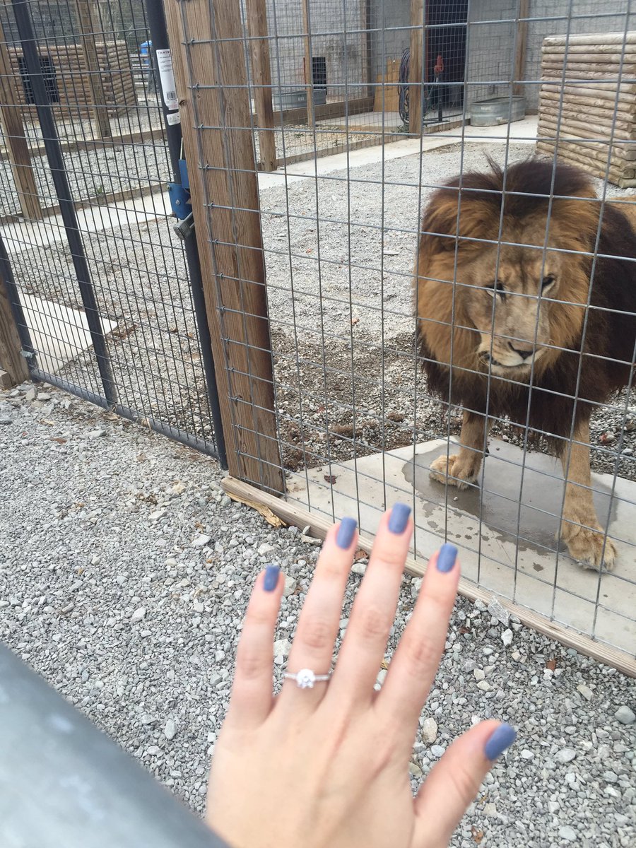ejg1031's tweet photo. I said yes! https://t.co/DqplyRT8RI