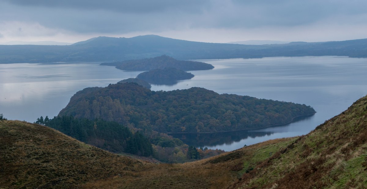 TheChaoticScot's tweet photo. Loch Lomond. Highland Boundary Fault Line. Hairy Coos. Scenic views. A dram &amp; shortbread at the top. WOW. Thanks @Scotlands_Wild #PackMoreIn https://t.co/YprRuiUmTS