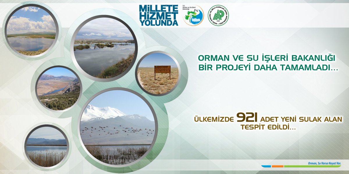 dijital_hafiza_'s tweet photo. Ulusal Sulak Alan Envanteri Projesi kapsamında ülkemizde 921 adet tabii sulak alan tespit edildi. https://t.co/aJQs1KQmj0 https://t.co/MhUpzTX80T