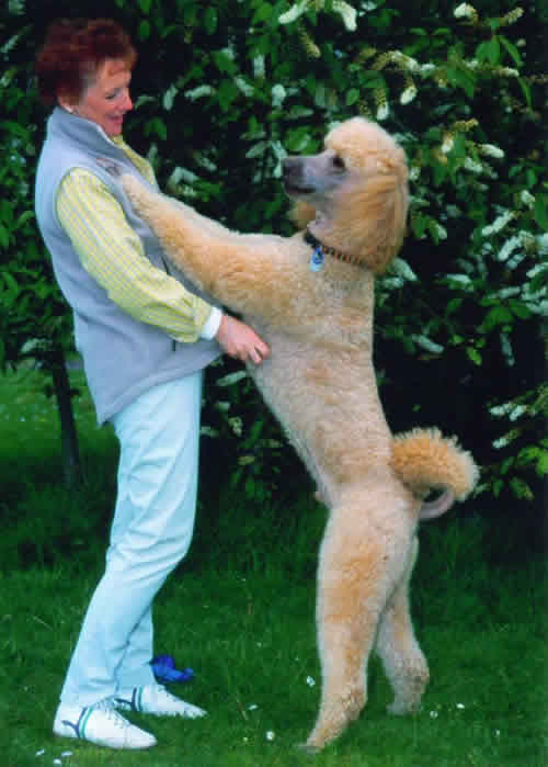 ヤト リハビリ入院中 先天性のアルビノがあると同時に 後天性の尋常性白斑というものもあります マイケルジャクソンが黒人なのに肌が白いのはこの病気が原因です 整形でも何でもありません ただ 斑点状に白くなるのでお化粧で隠して暮らしている人は