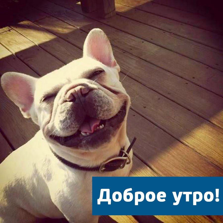 HermesTechnics's tweet photo. Наше вам "Доброе утро", друзья! Начните его с улыбки и пусть она станет символом ваших будней! https://t.co/ubNHno4SNM