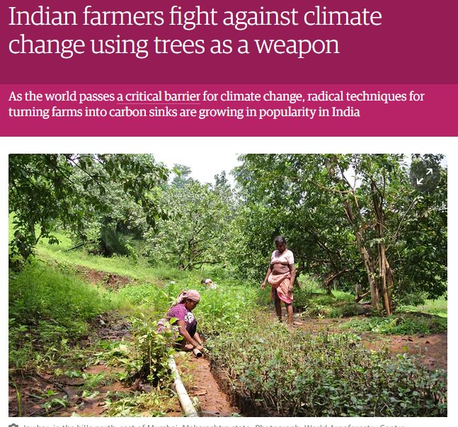 sustainableuni1's tweet photo. #SDupdate
Indian farmers fight against climate change using #trees as a weapon
https://t.co/WRKF1KUj3K
#climatechange #india #susty #green https://t.co/Ud6rtQkJ3W