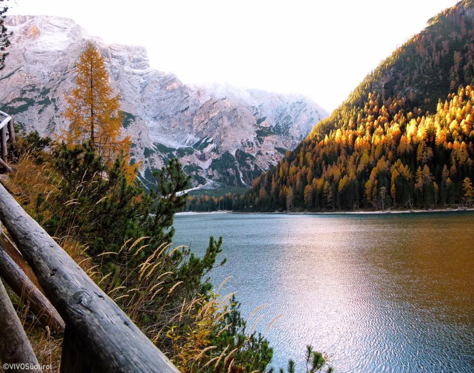 🍁 🍃 🍂 🌿 H e r b s t 🍁 🍃 🍂 🌿 #pragserwildsee #lagodibraies #dolomiti #altoadige #vivosüdtirol #vivosouthtyrol
