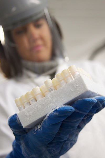 Congrats to the <a href="/CO90s/">Children of the 90s</a> lab team on being nominated for the UK Biobank of the Year Award! <a href="/BiobankingUK/">UK TDCC</a> <a href="/wellcometrust/">Wellcome</a> <a href="/The_MRC/">Medical Research Council</a> <a href="/BristolUni/">University of Bristol</a>
